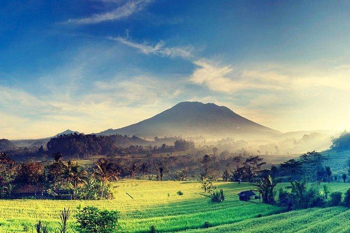 Escursione a terra: tour privati al villaggio artistico di Ubud e dintorni