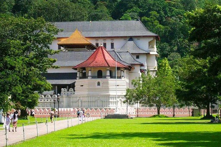 Excursion privée d'une journée à Kandy avec danse culturelle