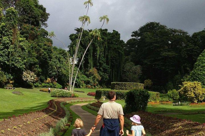 Kandy-dagtour vanuit Colombo