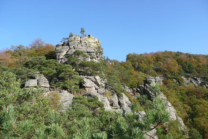 ウィーンからのヴァッハウ渓谷、Seekopf山での2時間のプライベートアルペンハイキングツアー