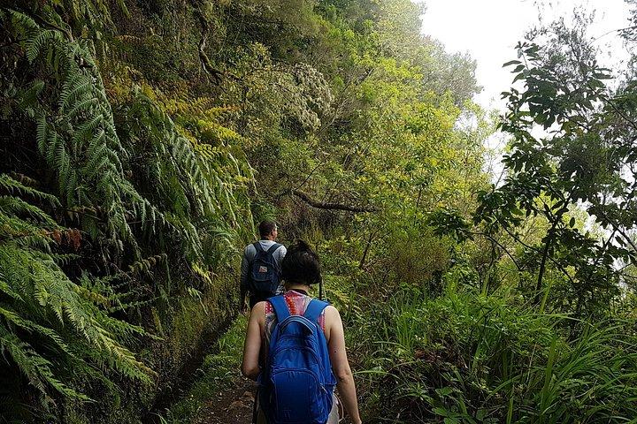Privé begeleide wandeling Levada Caldeirao Verde