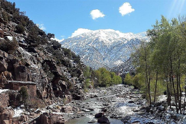 Private Day Tour to Ourika Valley including Guided Hike and Lunch from Marrakech