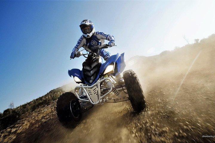 Marrakech Palm Oasis and Desert Quad Bike Adventure