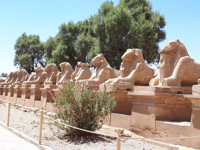 Private Full Day Tour to Luxor from Cairo with Flight