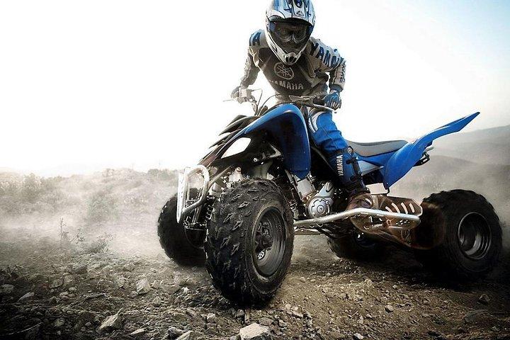 Marrakech Palm Oasis and Desert Quad Bike Adventure
