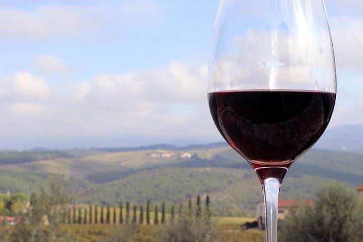 Tuscany Wine Tour from Rome with Private Driver