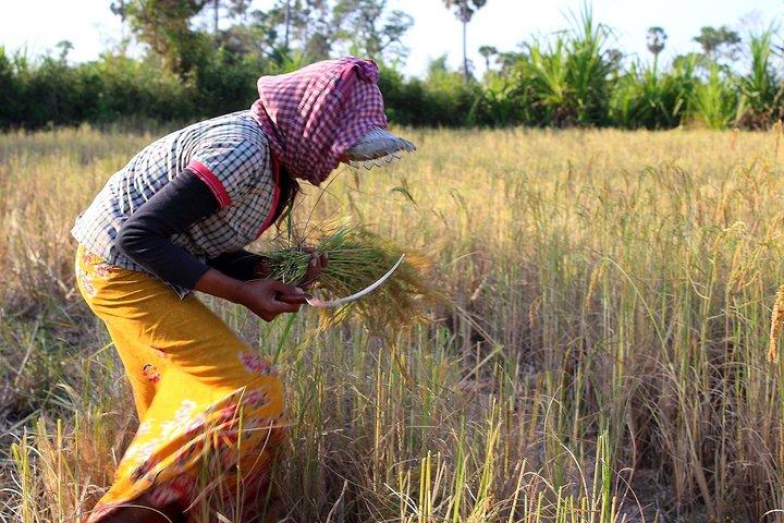 Campagne de Siem Reap et village flottant (Meychrey)