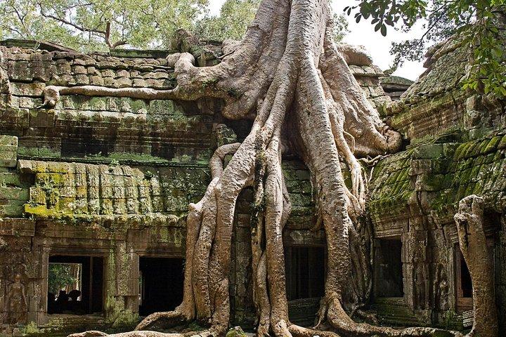 Excursão Angkor Wat Sunrise & Small Circuit