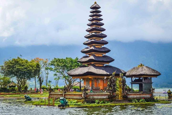 Tour Dolphin North Bali