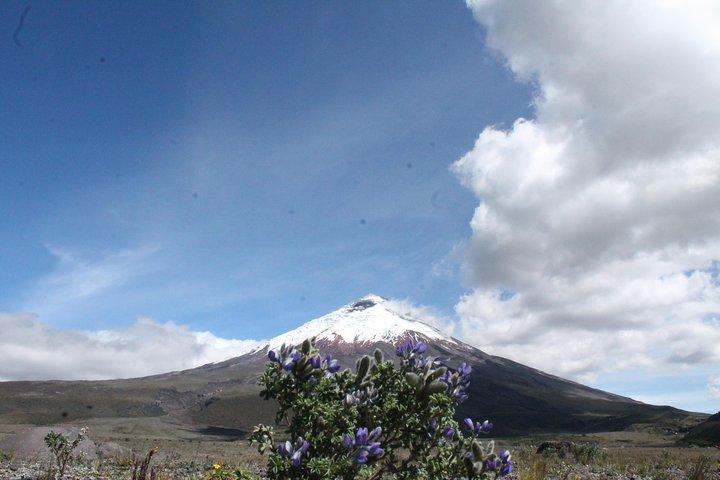 Vulkan Cotopaxi (privater Tagesausflug von Quito)