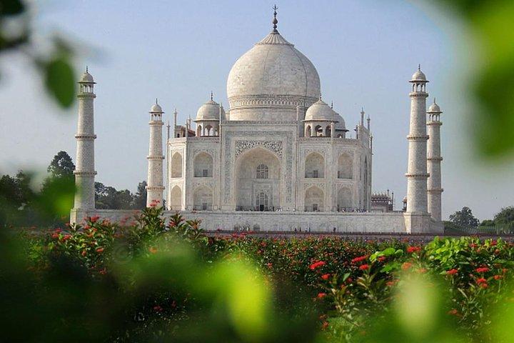 Tour dell'alba del Taj Mahal e del forte di Agra da Jaipur