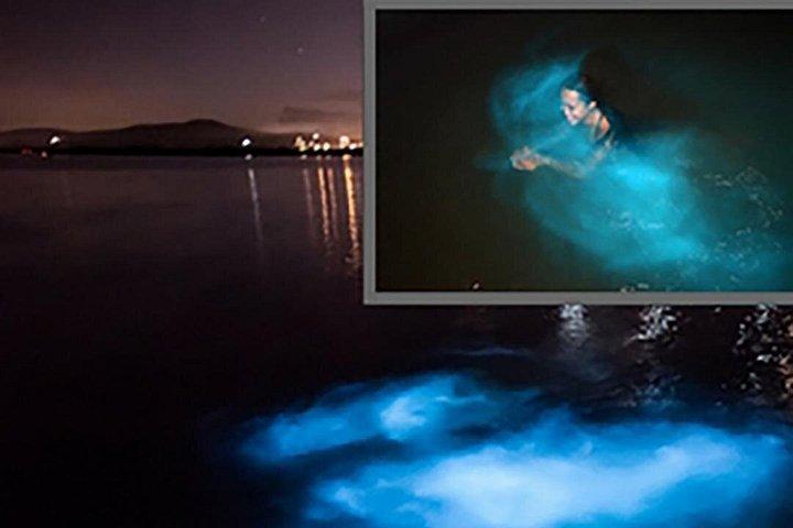 モンテゴベイからの明るいラグーンと輝く水ツアー