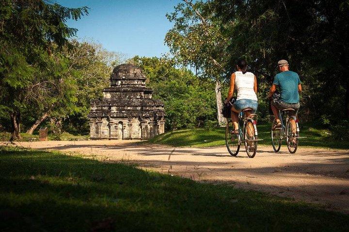 Tagesausflug in die antike Stadt Polonnaruwa von Negombo