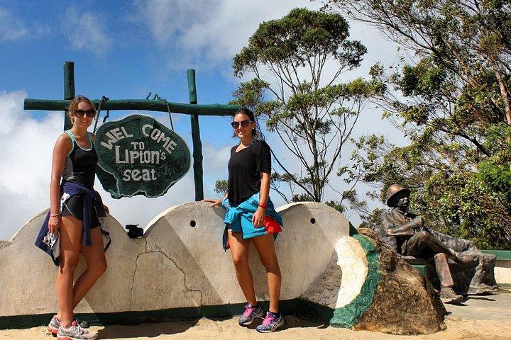 Day Excursion to Lipton Seat & Dambatenne Tea Factory from Ella