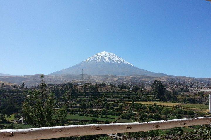 Intera giornata Canyon del Colca con pranzo da Arequipa