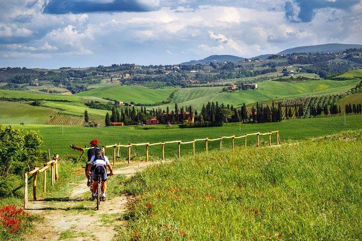 Privé E-bike Tour in Chianti vanuit Florence