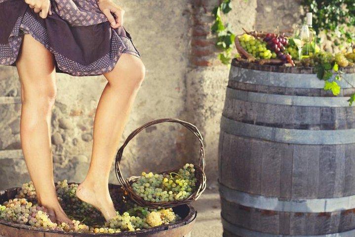Privé Druiven stampen in Chianti vanuit Florence