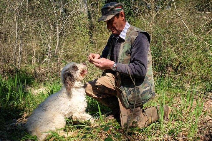 Privé Truffeljacht in Chianti vanuit Florence