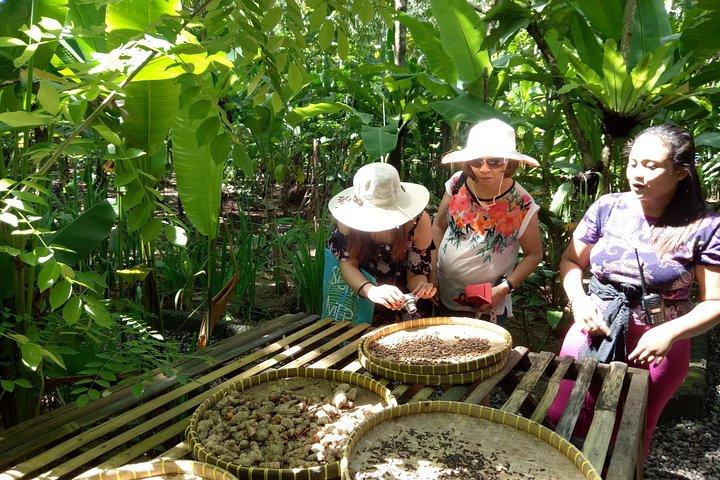 Bali Holy Bathing Ritual e Ubud Highlights tour