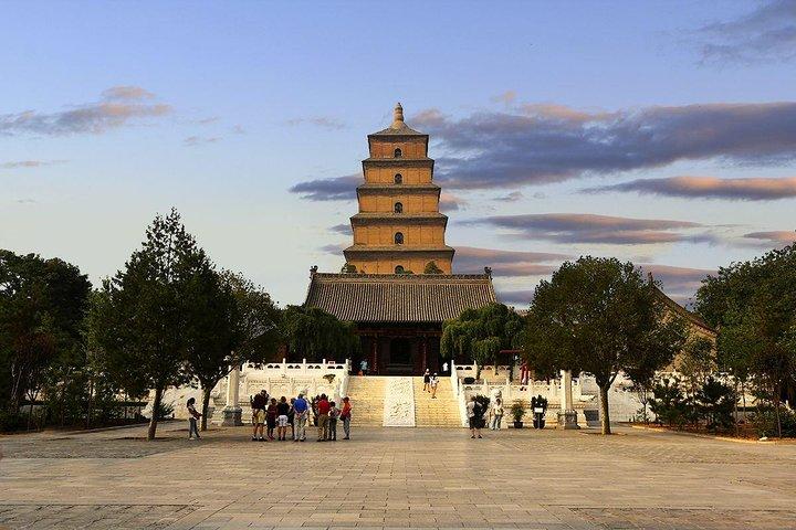 Visite privée d'une journée des points forts de la ville de Xian