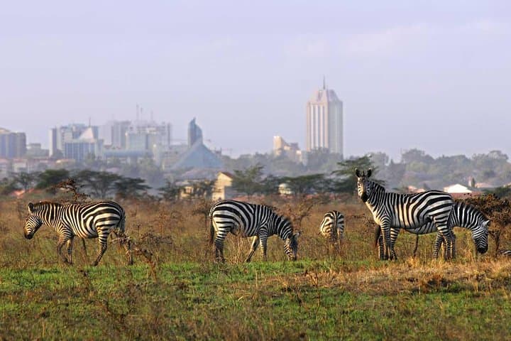 Nairobi National Park–A Safari Adventure at the Edge of the City