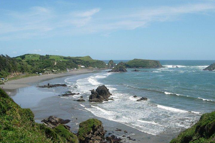 プエルトモント:プニヒルのペンギンを訪れる終日のチロエ島