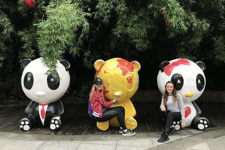 成都市のハイライトとパンダ体験のプライベートデー