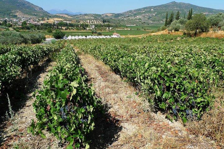 Excursión privada de un día a Nemea dionisíaca