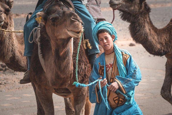Private Tour: Marrakech walking tour and Camel riding