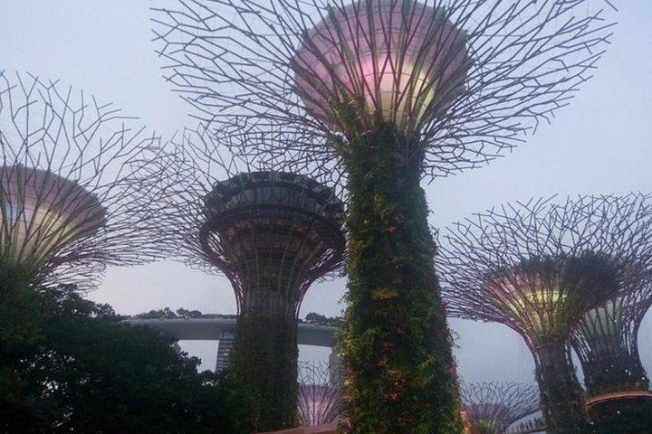 Privat helgdagstur i Singapore Highlights
