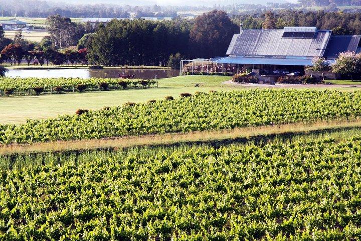 Tour privado de cata de vinos por Hunter Valley desde Sídney