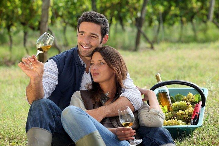Hunter Valley Private Wine Tasting Tour from Sydney