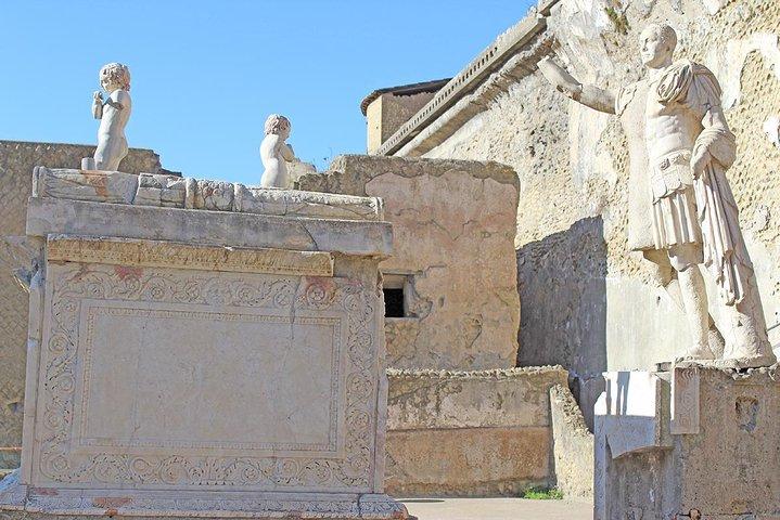 ファストアクセス専用プライベート古代ポンペイHerculaneum＆Oplontisガイド付きツアー