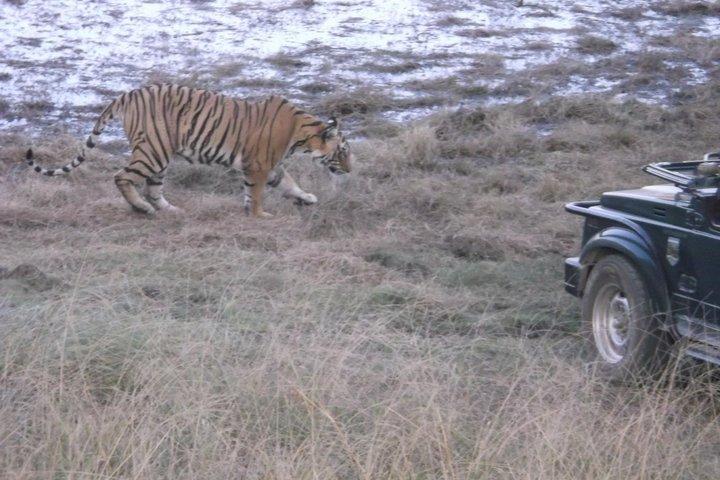 Parco nazionale di Ranthambhore