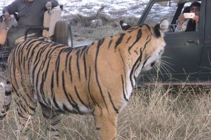 Parco nazionale di Ranthambhore