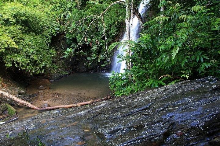 Privétour: Volledige dag Langkawi Durian Perangin-waterval Natuurtocht Inclusief ATV-avontuur