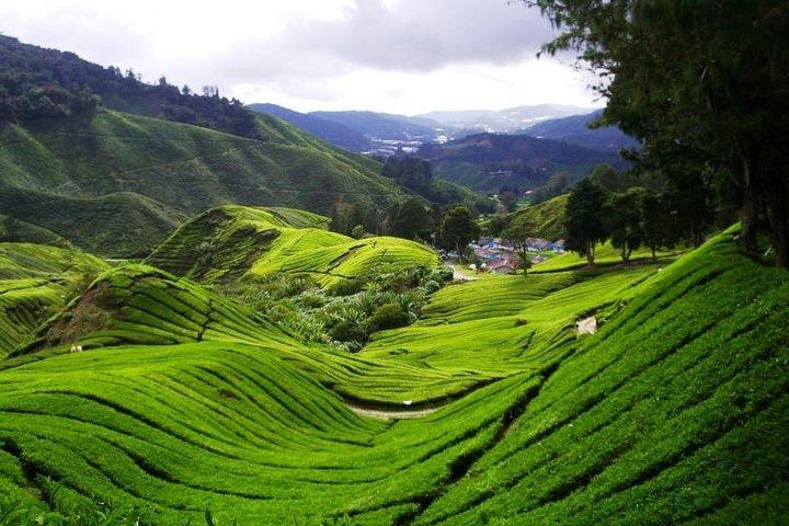 Terras Altas Privadas de Cameron com Cavernas Batu de Kuala Lumpur