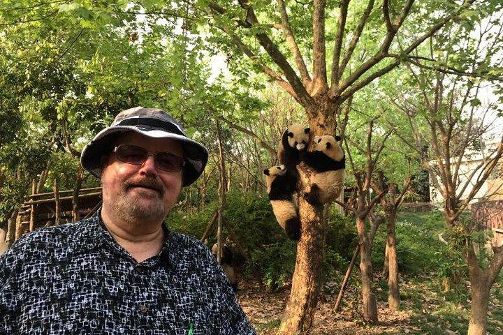 Chengdu Panda Base Half Day Tour