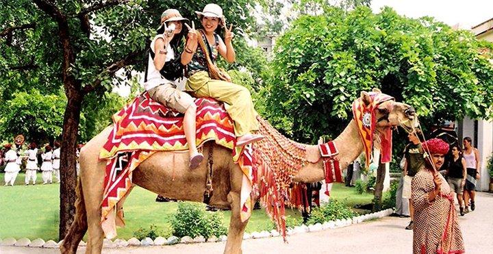 Samode Day Trip da Jaipur di Car and Driver