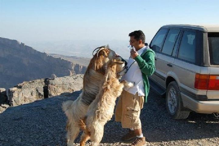 Jebel Shams Day Trip: El Gran Cañón de Omán