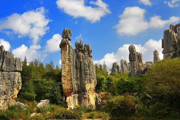 Excursion d'une journée privée: Kunming Highlight of Stone Forest