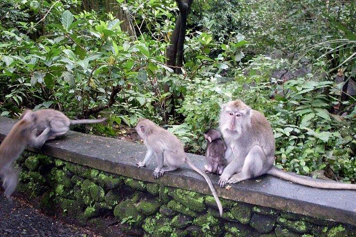 タマン アユン寺院、モンキー フォレスト、マンブル湖、滝