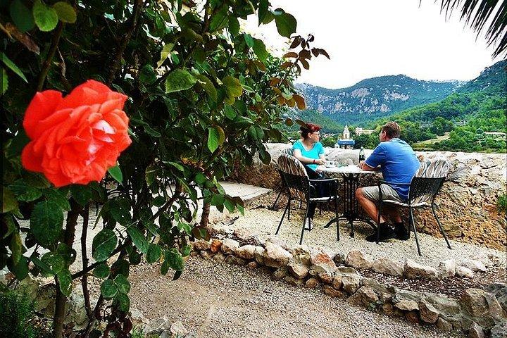 Valldemosa och Soller-dalen Tour på Mallorca