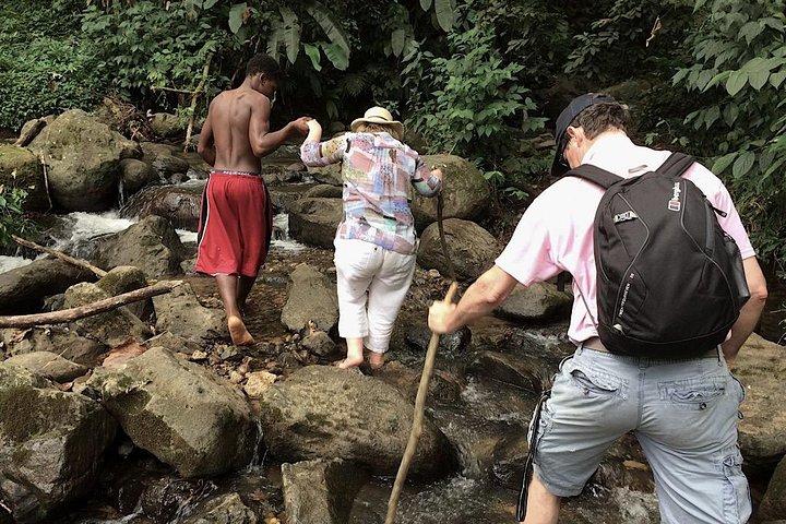 Escursione nella foresta pluviale di Grand Etang – Esploratore della natura di Grenada per piccoli gruppi