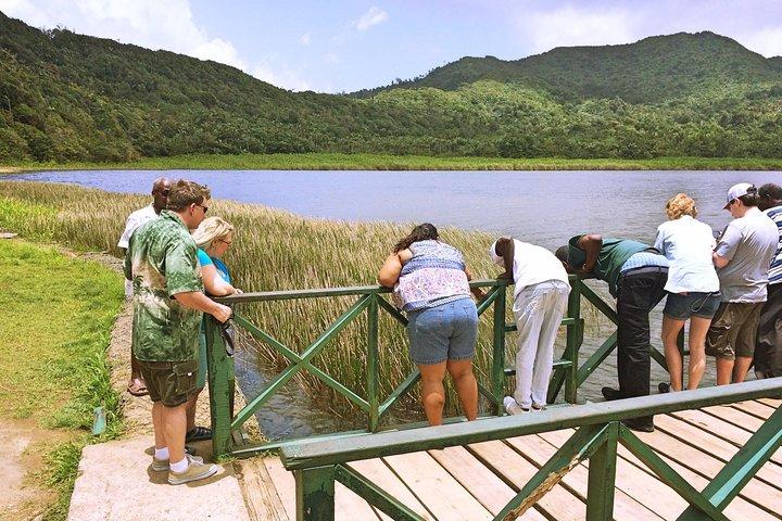 Escursione nella foresta pluviale di Grand Etang – Esploratore della natura di Grenada per piccoli gruppi