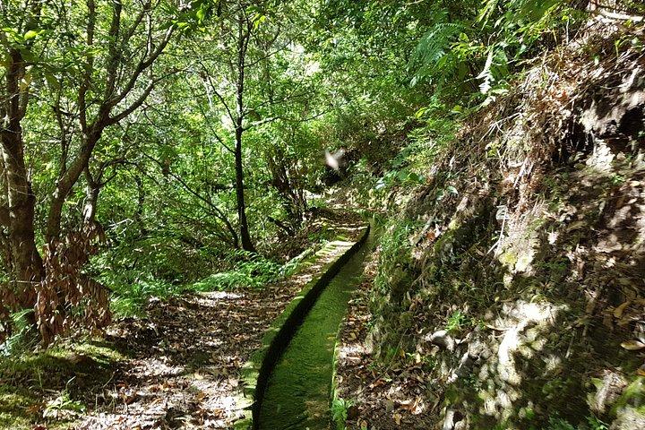 Madeira: Private Guided Levada dos Tornos Boaventura Hike
