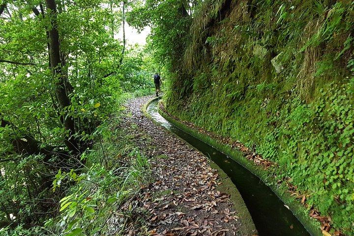 Madeira: Private Guided Levada dos Tornos Boaventura Hike