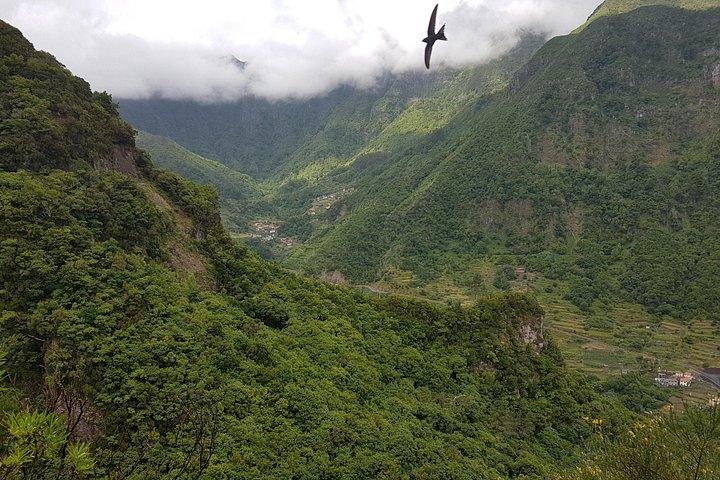 Madeira: Private Guided Levada dos Tornos Boaventura Hike