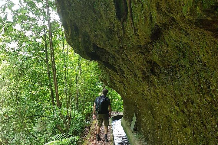 Madeira: Private Guided Levada dos Tornos Boaventura Hike