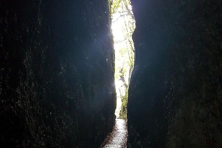 Private Guided Walk Levada Santo da Serra to Ribeiro Frio